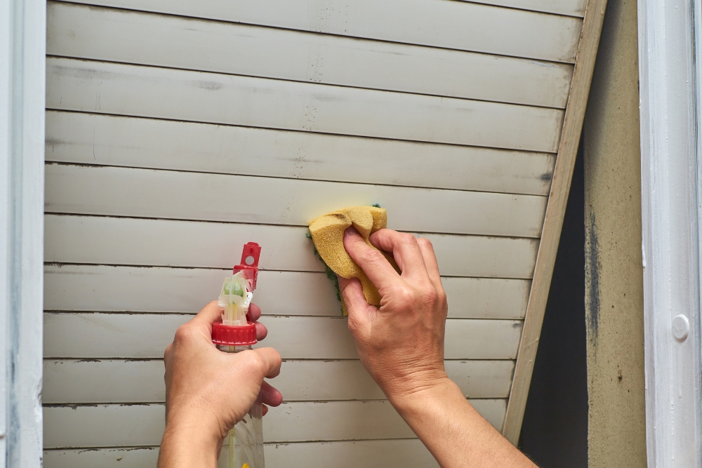 Clean the shutters manually